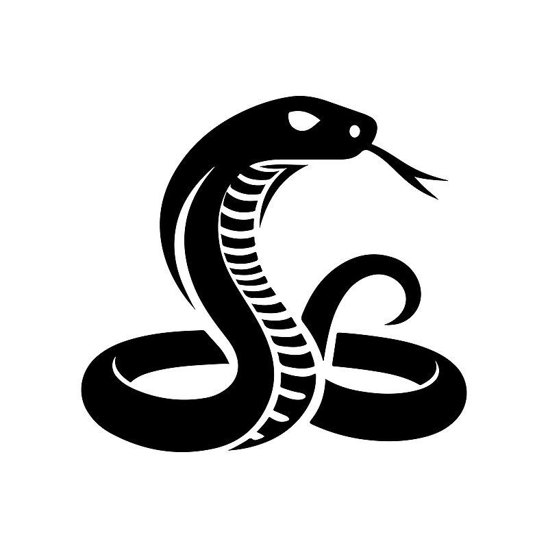 世界杯下注入口-黑曼巴蛇有多毒黑曼巴